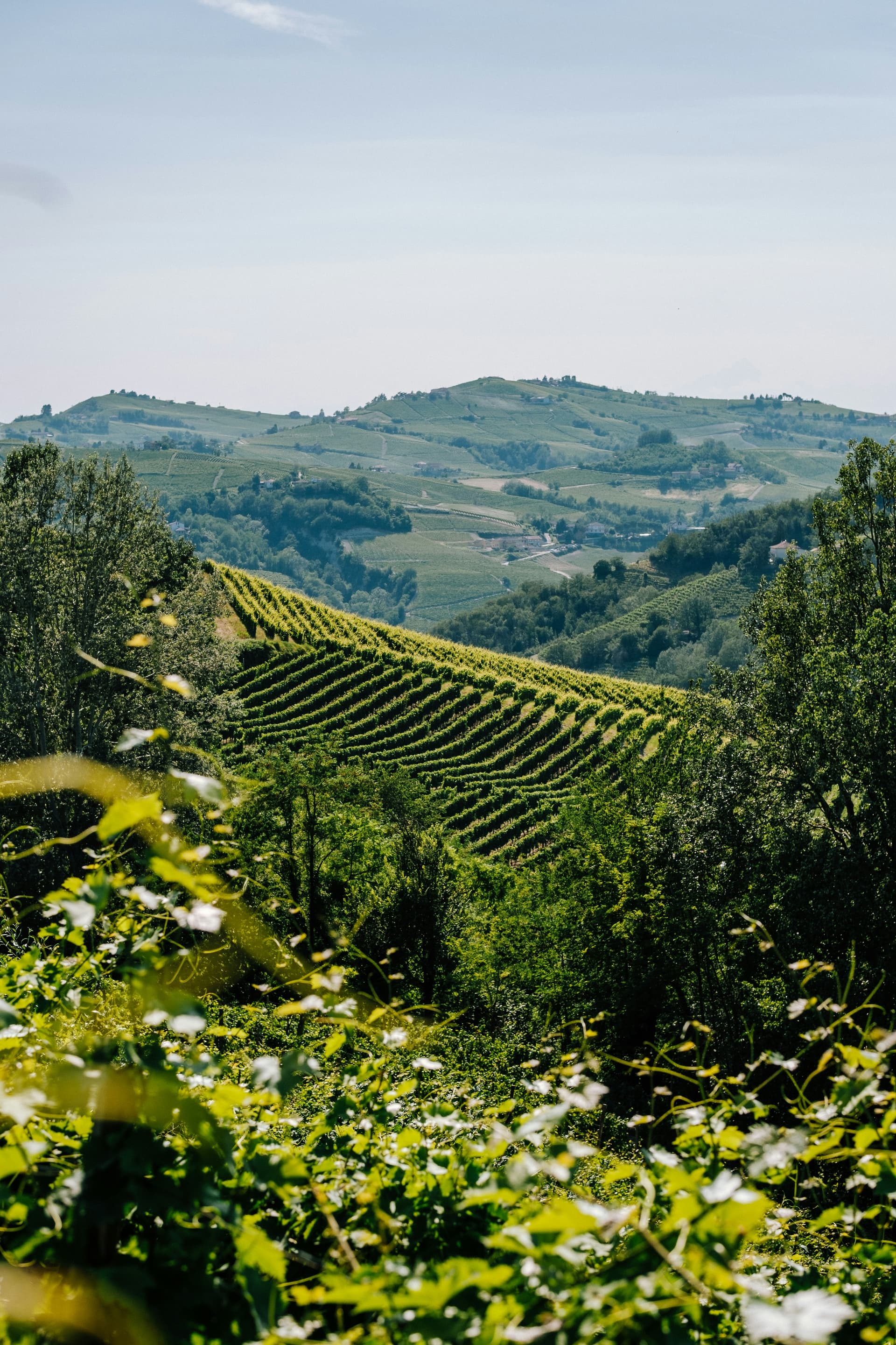 Castles for sale in Piedmont