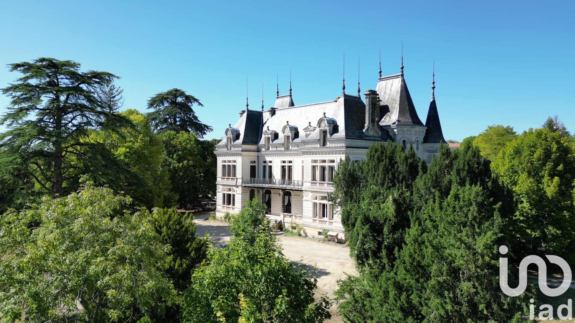 Elegant 19th Century Castle with 10 Bedrooms and Terrace 2