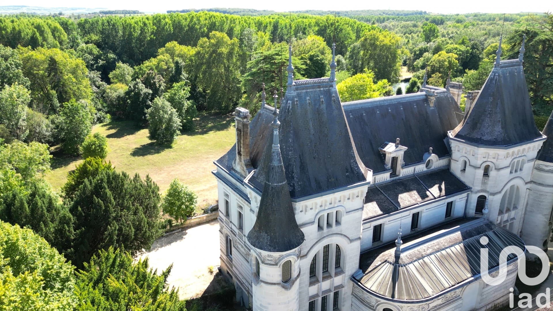 Elegant 19th Century Castle with 10 Bedrooms and Terrace 3