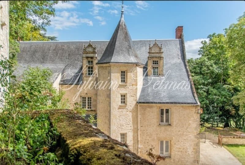Fully Restored 15th Century Château With Troglodyte Cellars 3