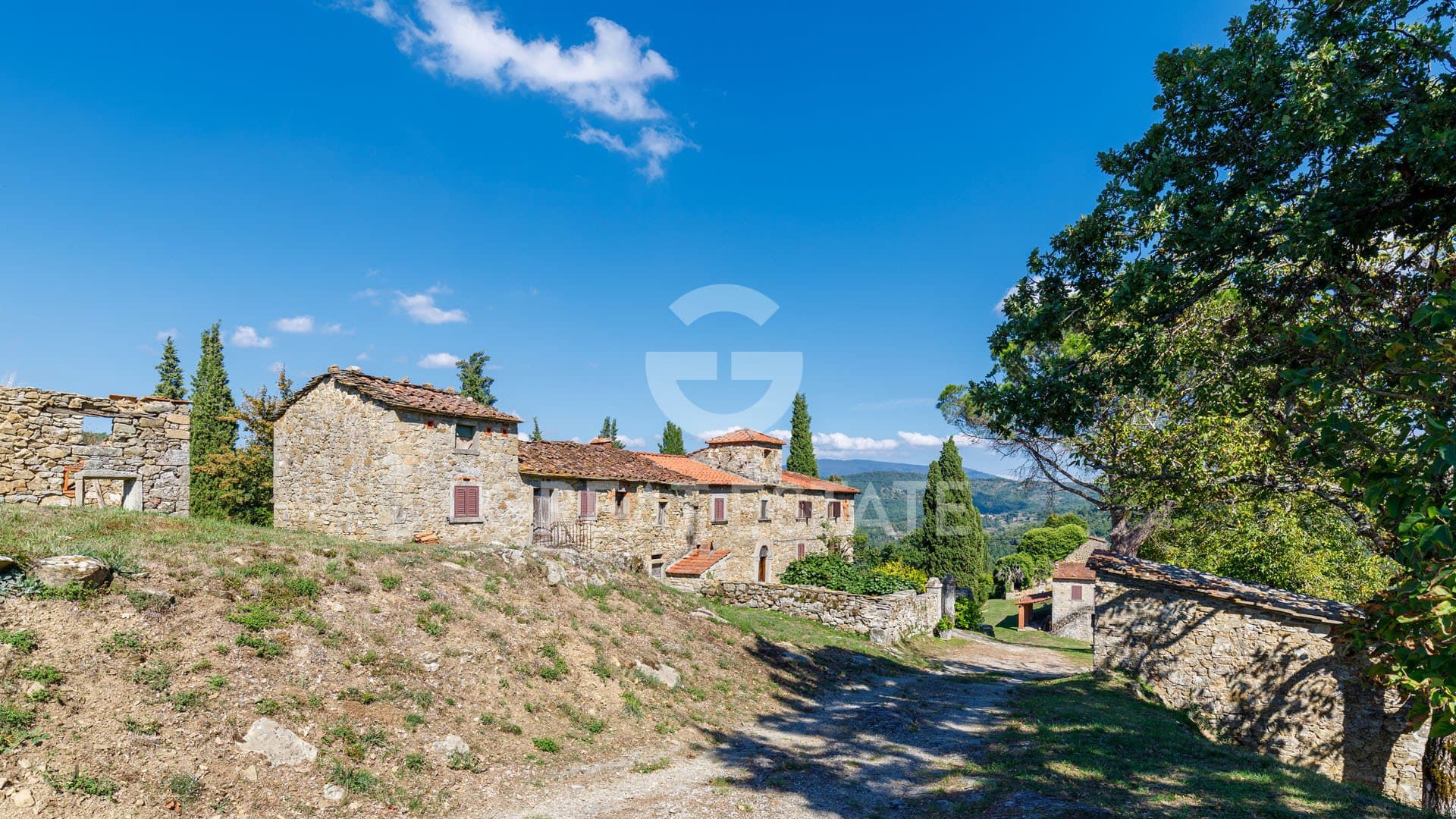 Historic Real Estate Complex with Natural Spring and Chestnut Grove 3