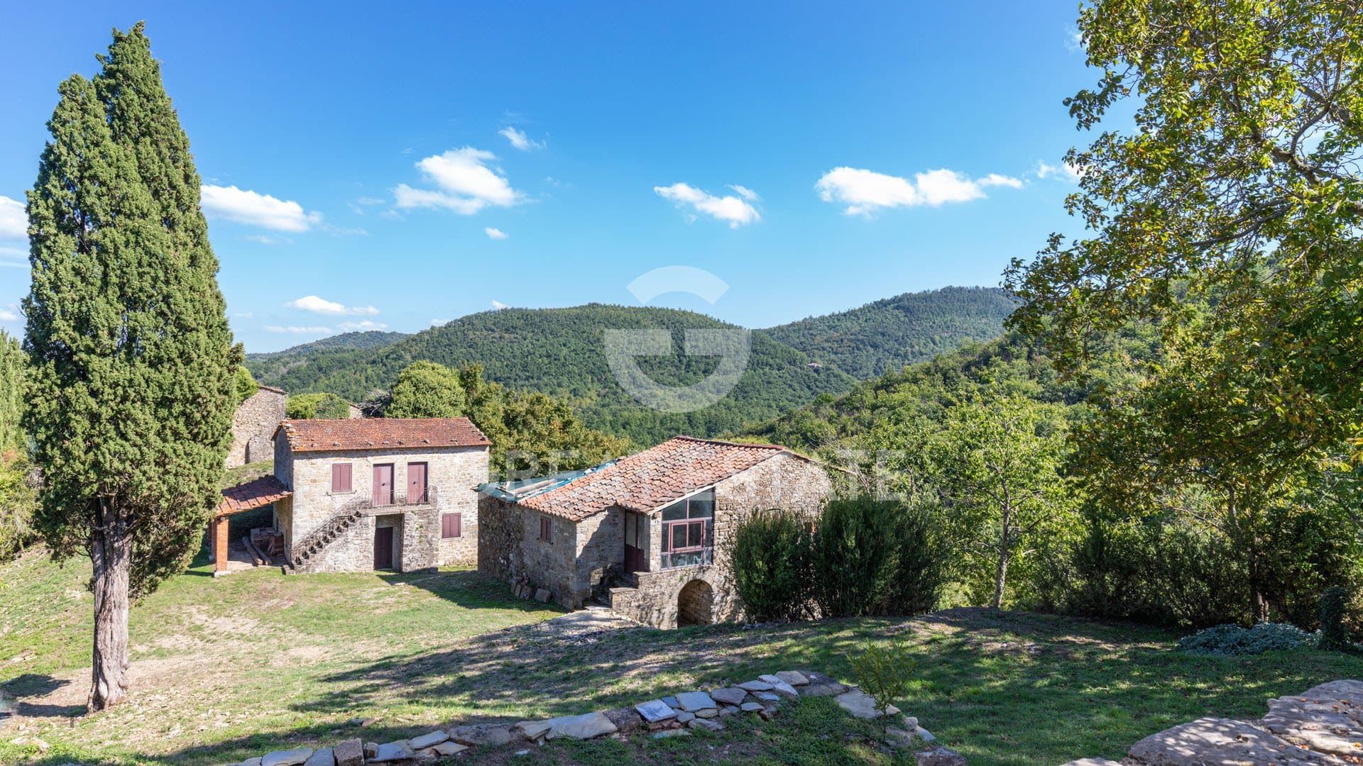 Historic Real Estate Complex with Natural Spring and Chestnut Grove 3