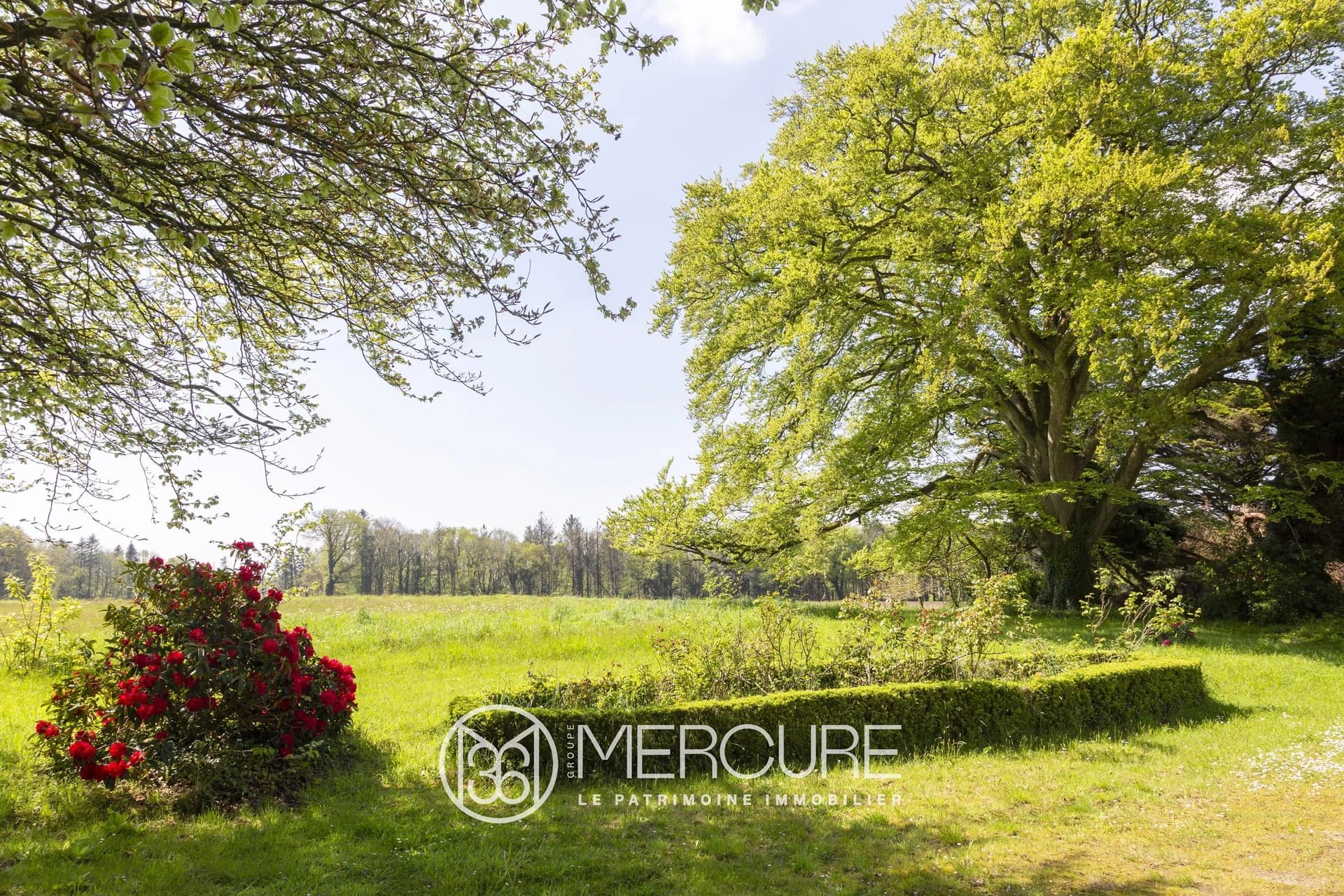 19th Century Manor House Set In 39 Hectares With 11 Bedrooms 5