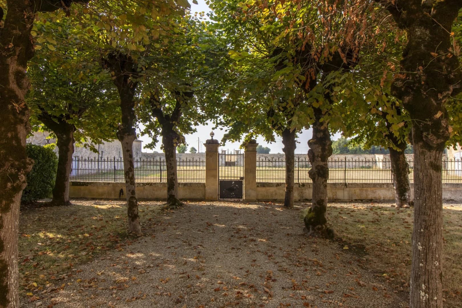 Elegant Château with Guest Wing and Swimming Pool in Tranquil Setting 5