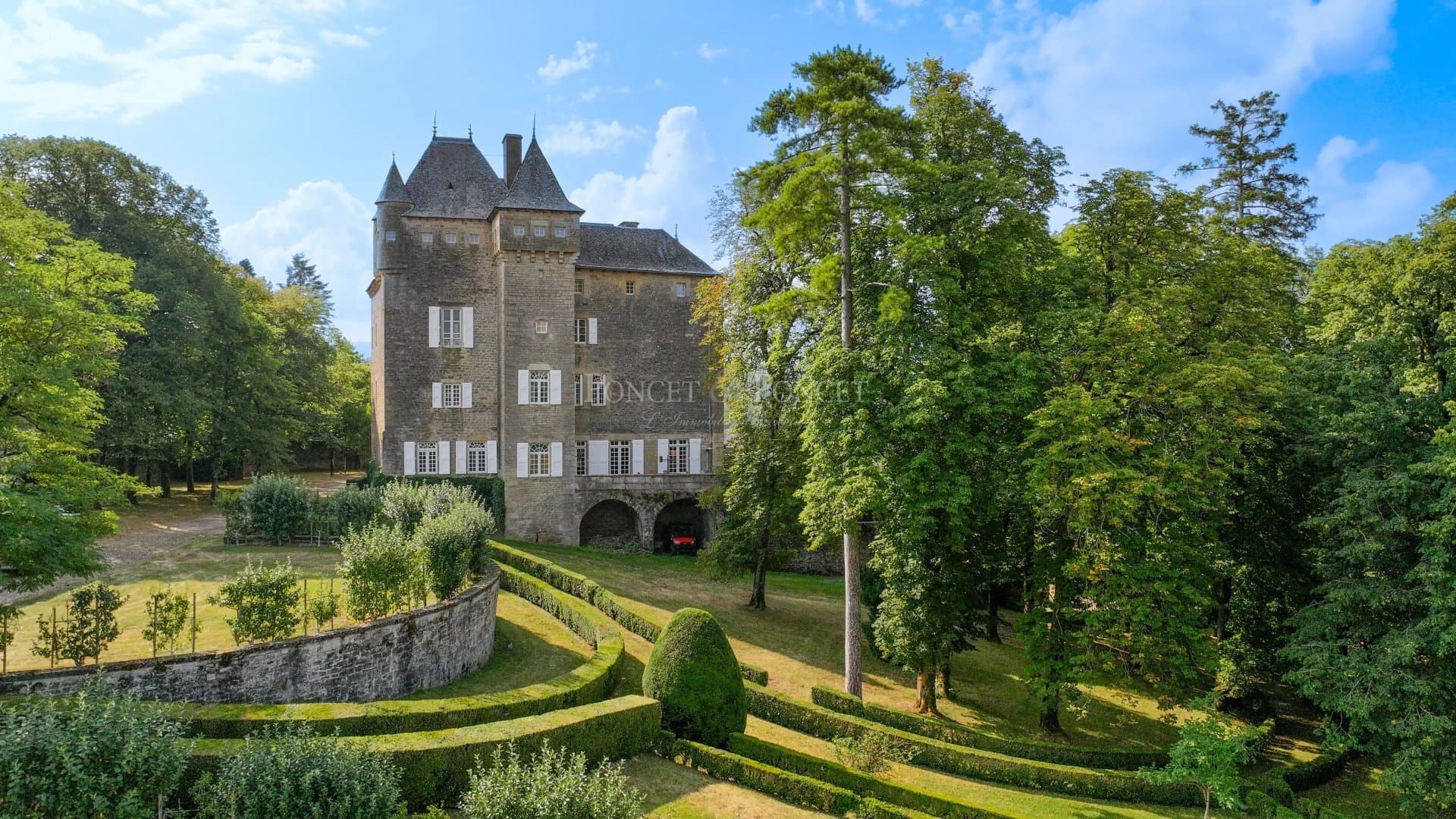 Historic Castle with Spacious Rooms and Beautiful Park 5