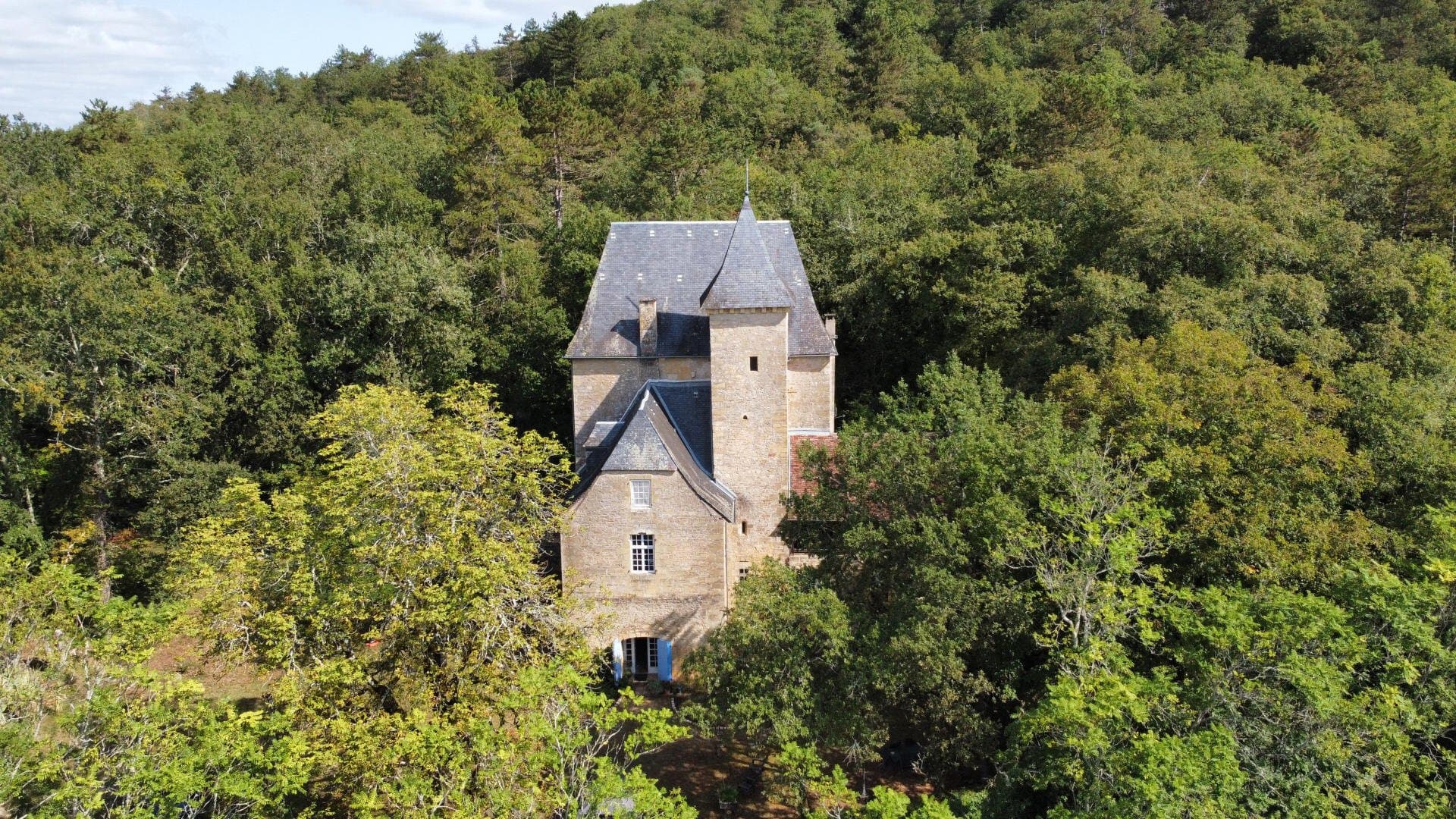 Historic Manor With 250 Sqm On 5 Hectares Near Montignac — in France