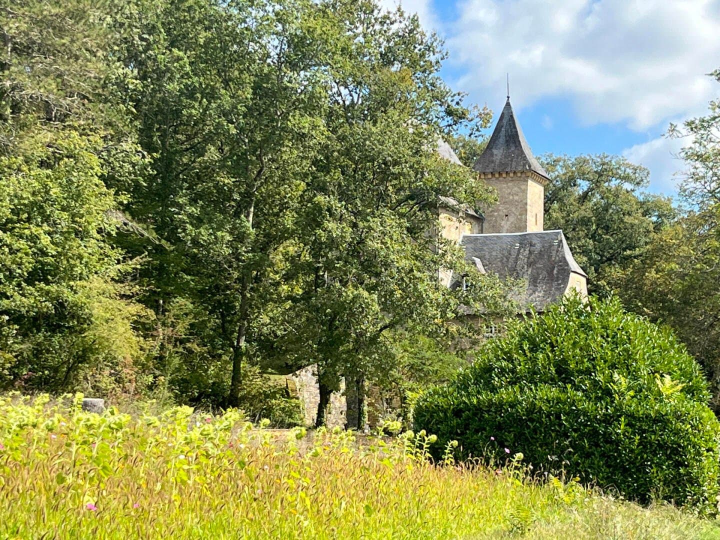 Historic Manor With 250 Sqm On 5 Hectares Near Montignac 3