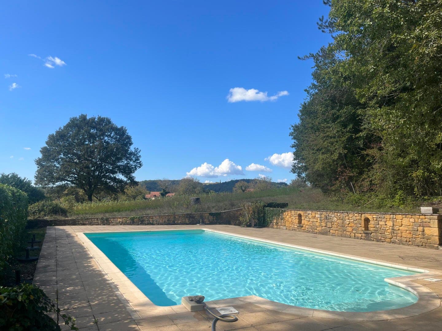 Historic Manor With 250 Sqm On 5 Hectares Near Montignac 3