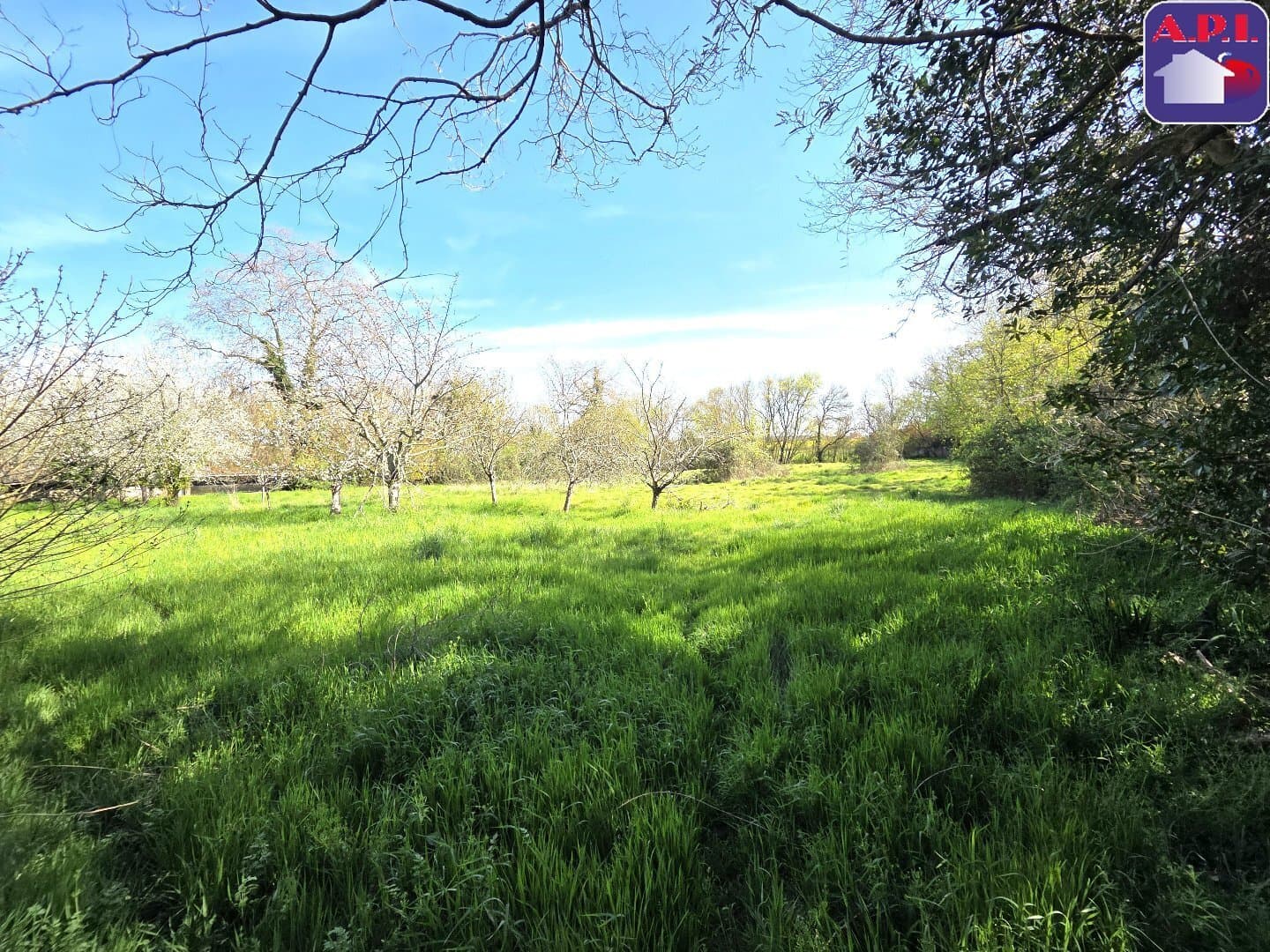 Prestigious Château with Outbuildings on 11 Hectares 5