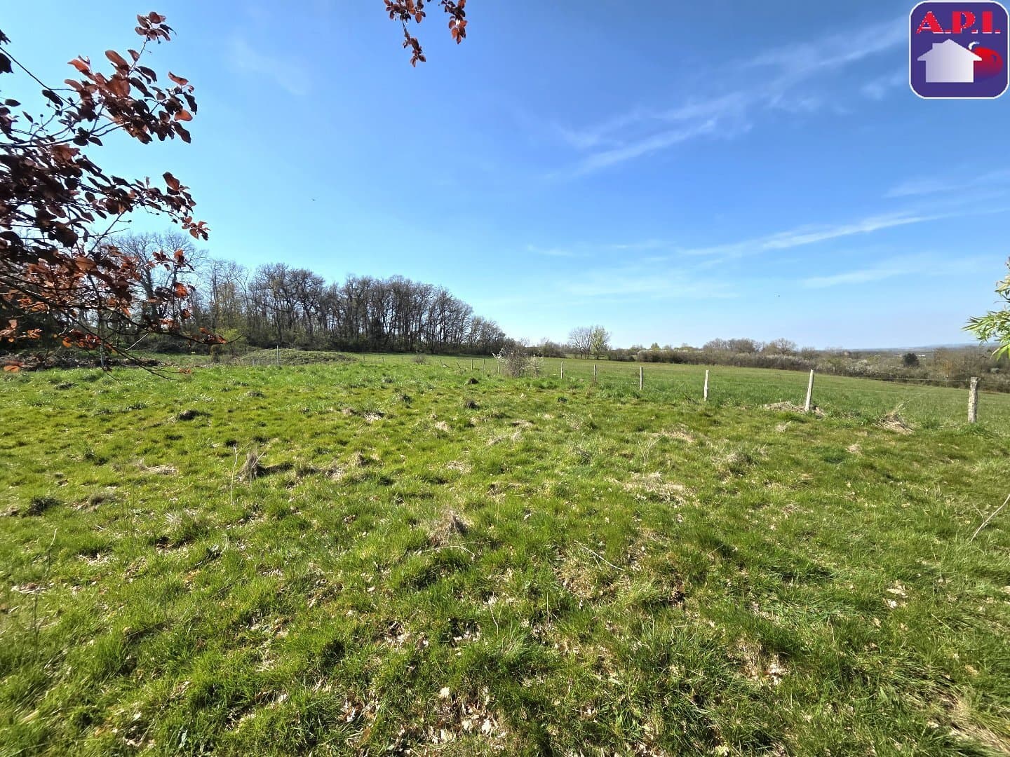 Prestigious Château with Outbuildings on 11 Hectares 2