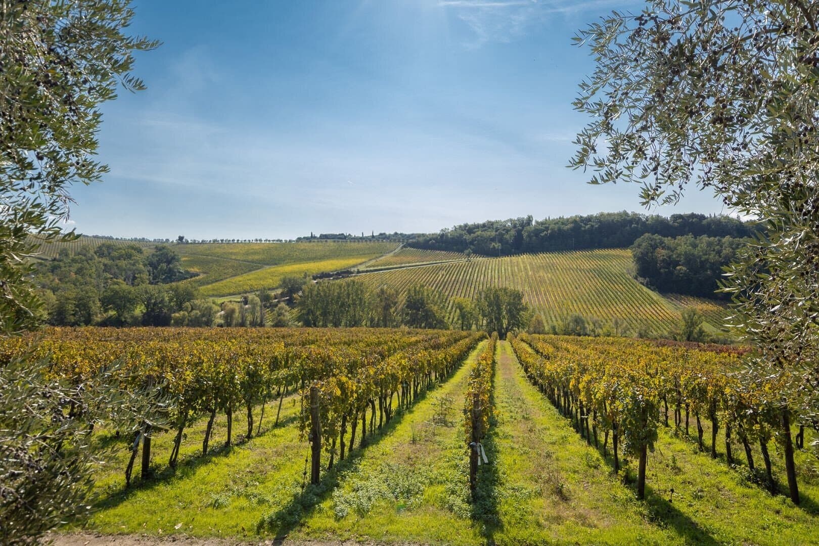 The Oak Palace: A Historic Farmstead With Vineyards And Olive Groves 2