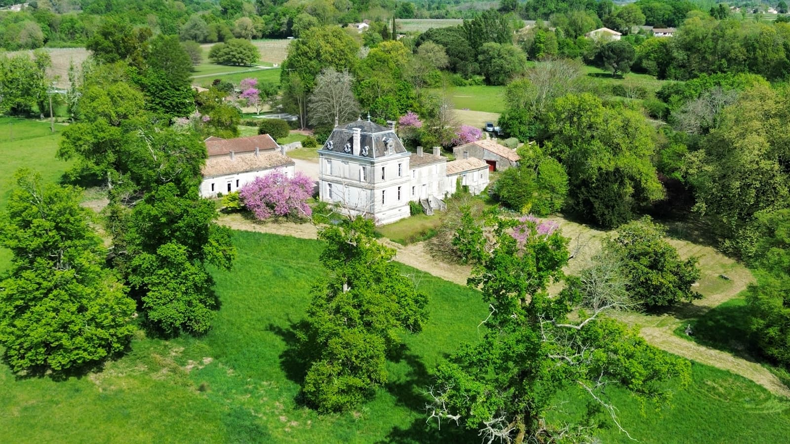 Magnificent Château with Vineyard and Multiple Houses 4