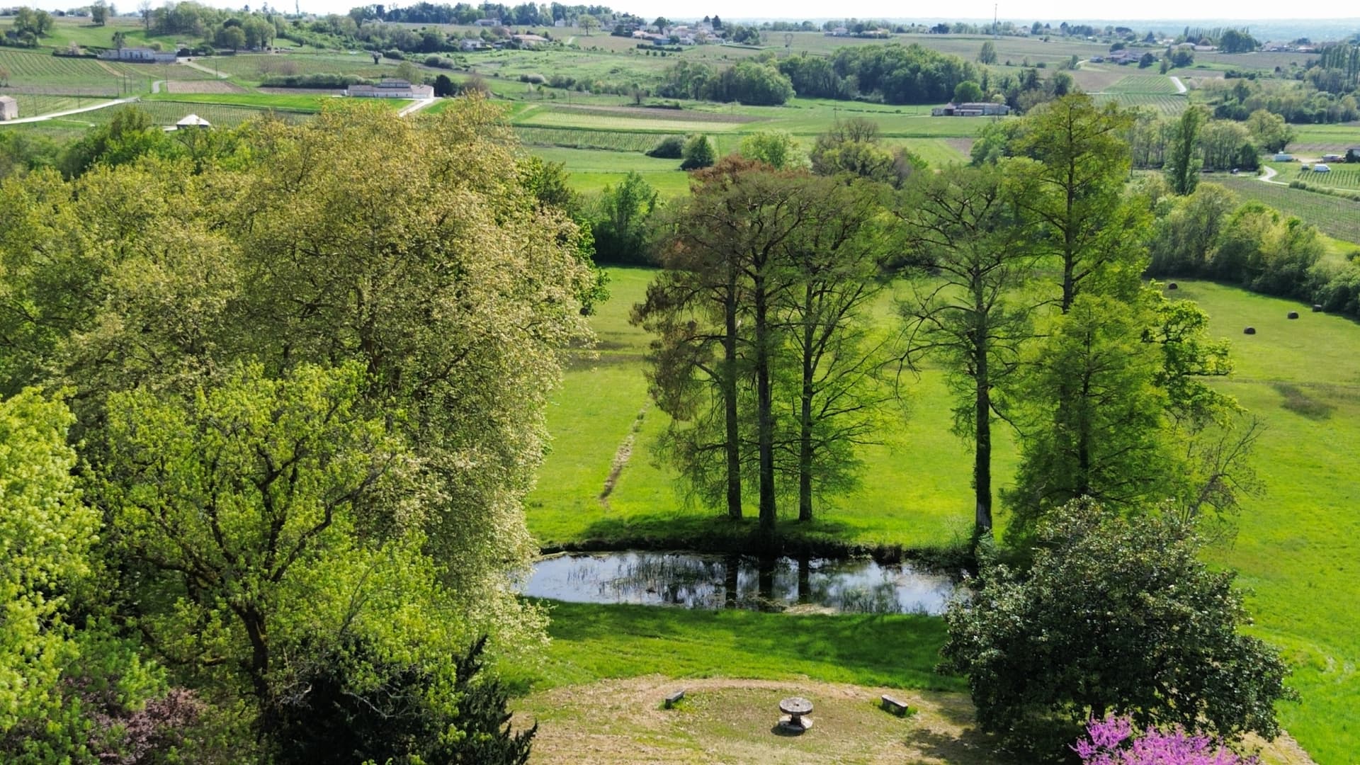 Magnificent Château with Vineyard and Multiple Houses 5