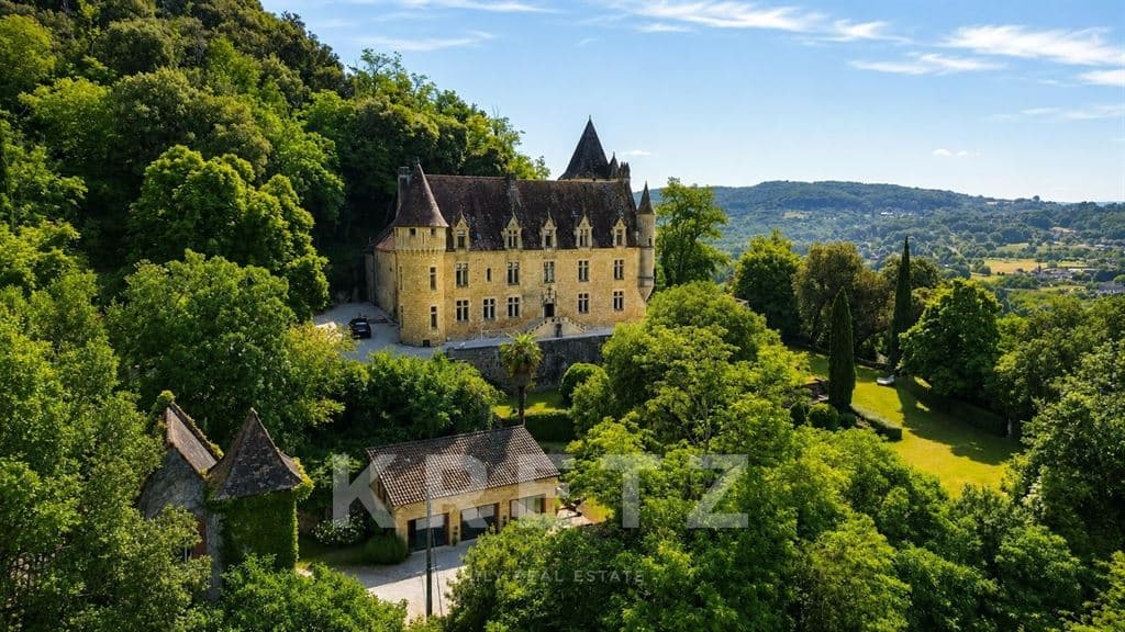 Impressive 18th Century Castle with 17 Bedrooms and Swimming Pool 2