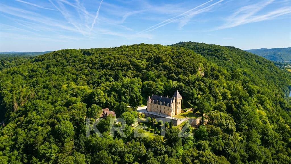 Impressive 18th Century Castle with 17 Bedrooms and Swimming Pool 4