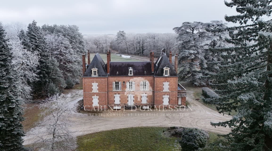 Castle 800 Sqm 12 Bedrooms — in Cher, Centre-Val de Loire