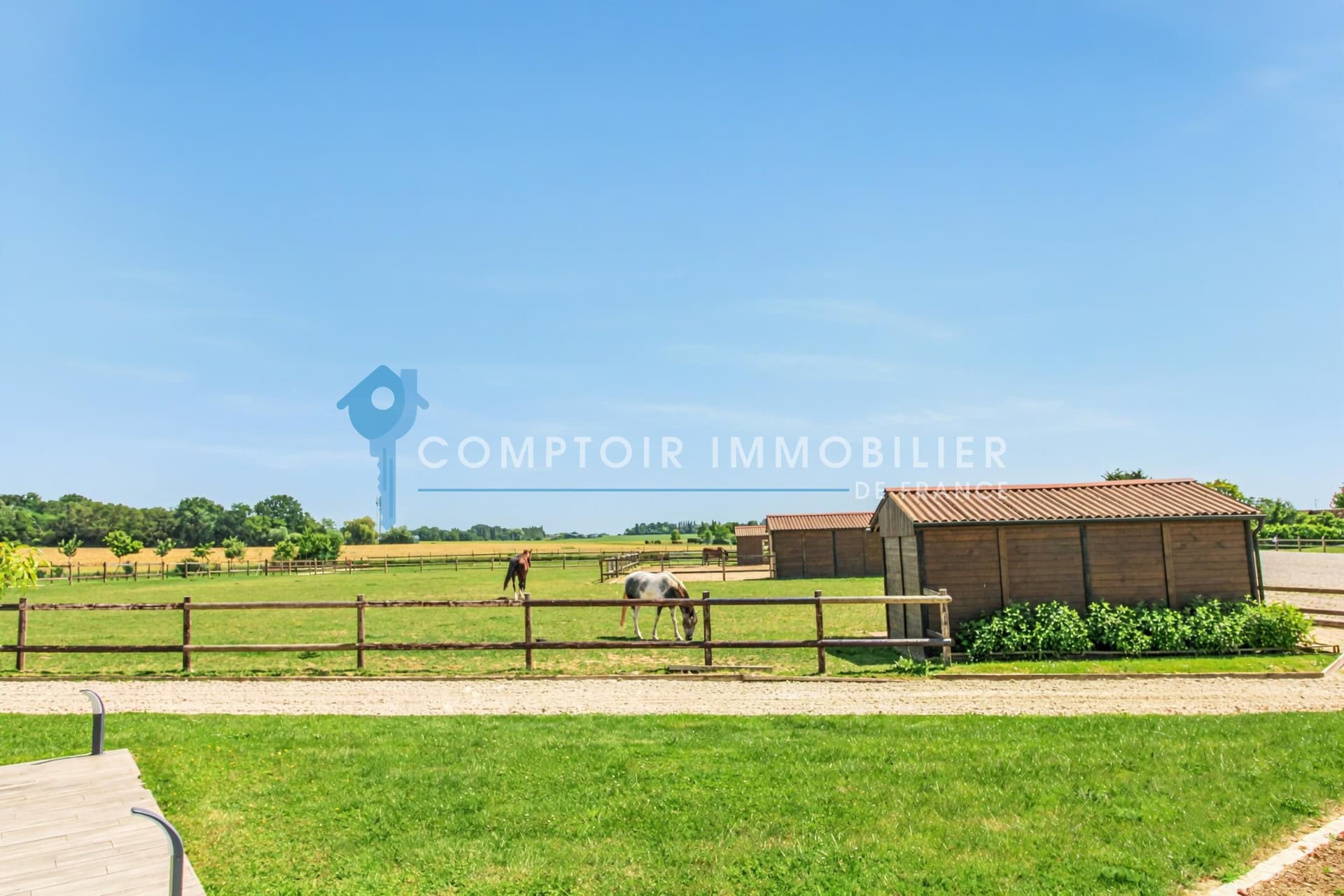 Exceptional Equestrian Estate With Modern Facilities And Swimming Pool 4