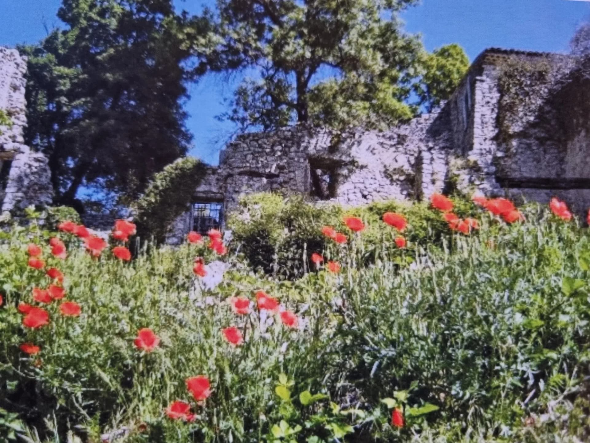 Isolated Real Estate Complex With Castle Ruins And Chapel 4