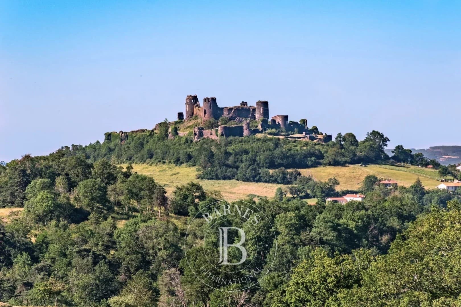 Historic 13th Century Château with Panoramic Views — Château for sale in Auvergne-Rhône-Alpes, France