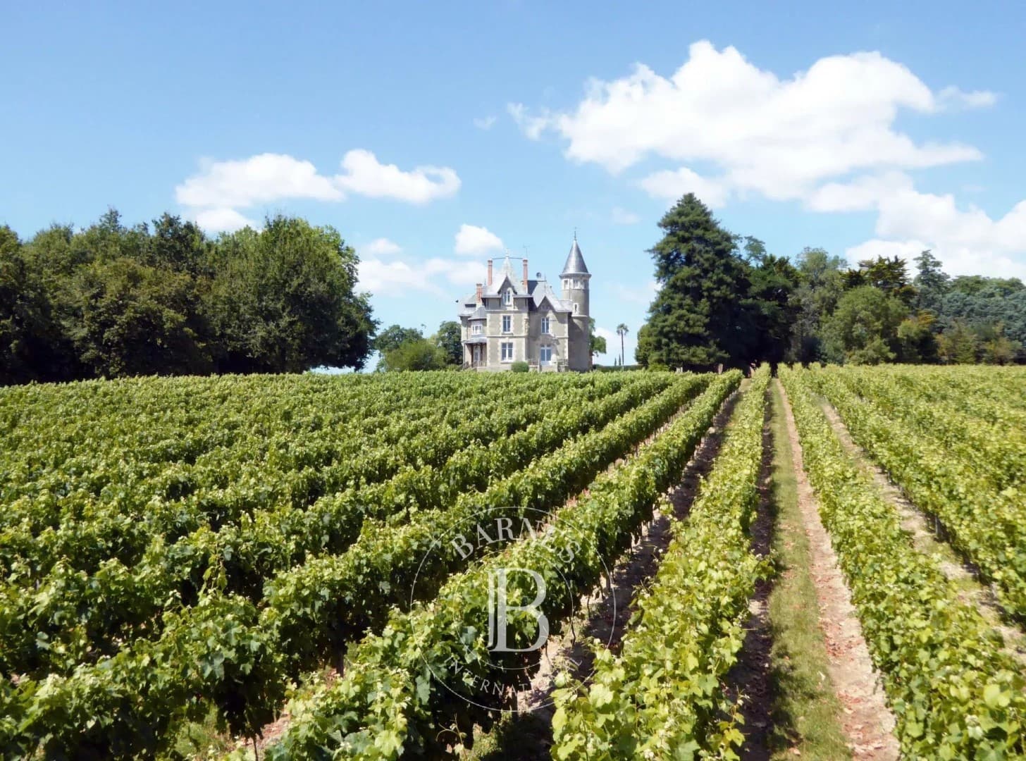 Château with Gîtes and Heated Pool in the Vendée — Château for sale in Vendée, France