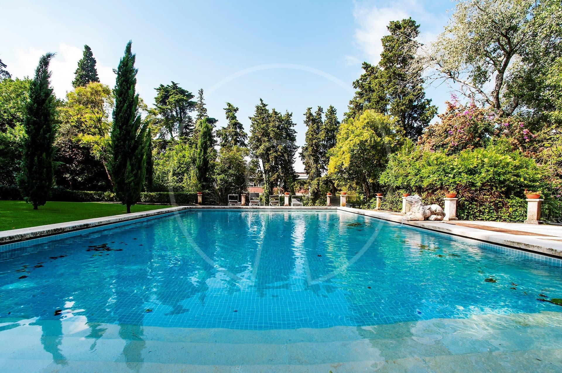 Elegant Palace With Garden And Swimming Pool 5