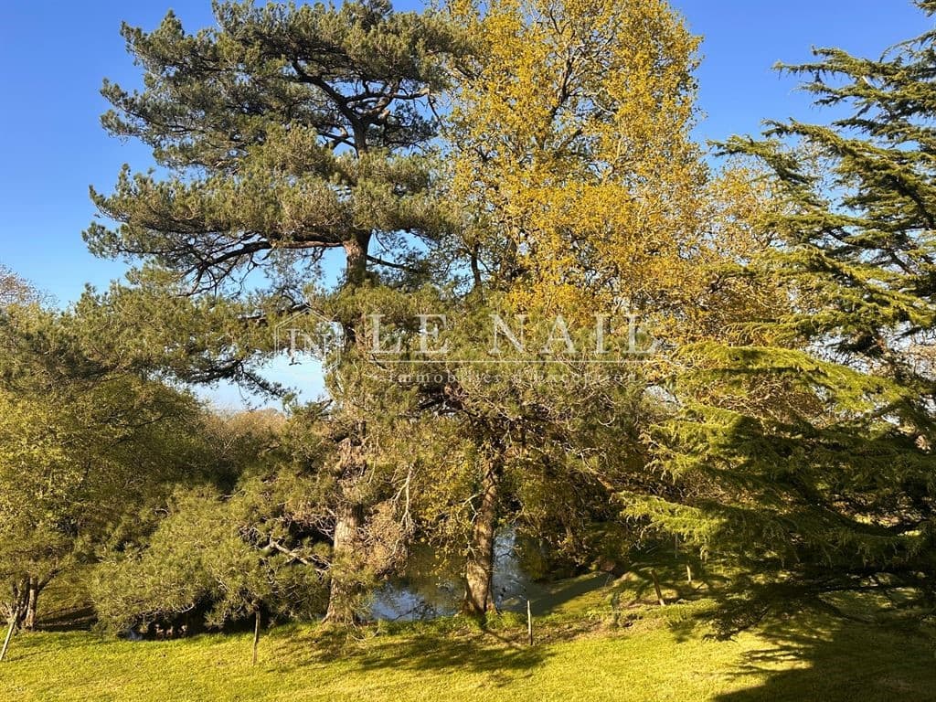 Elegant 19th Century Château Surrounded By Natural Beauty 3