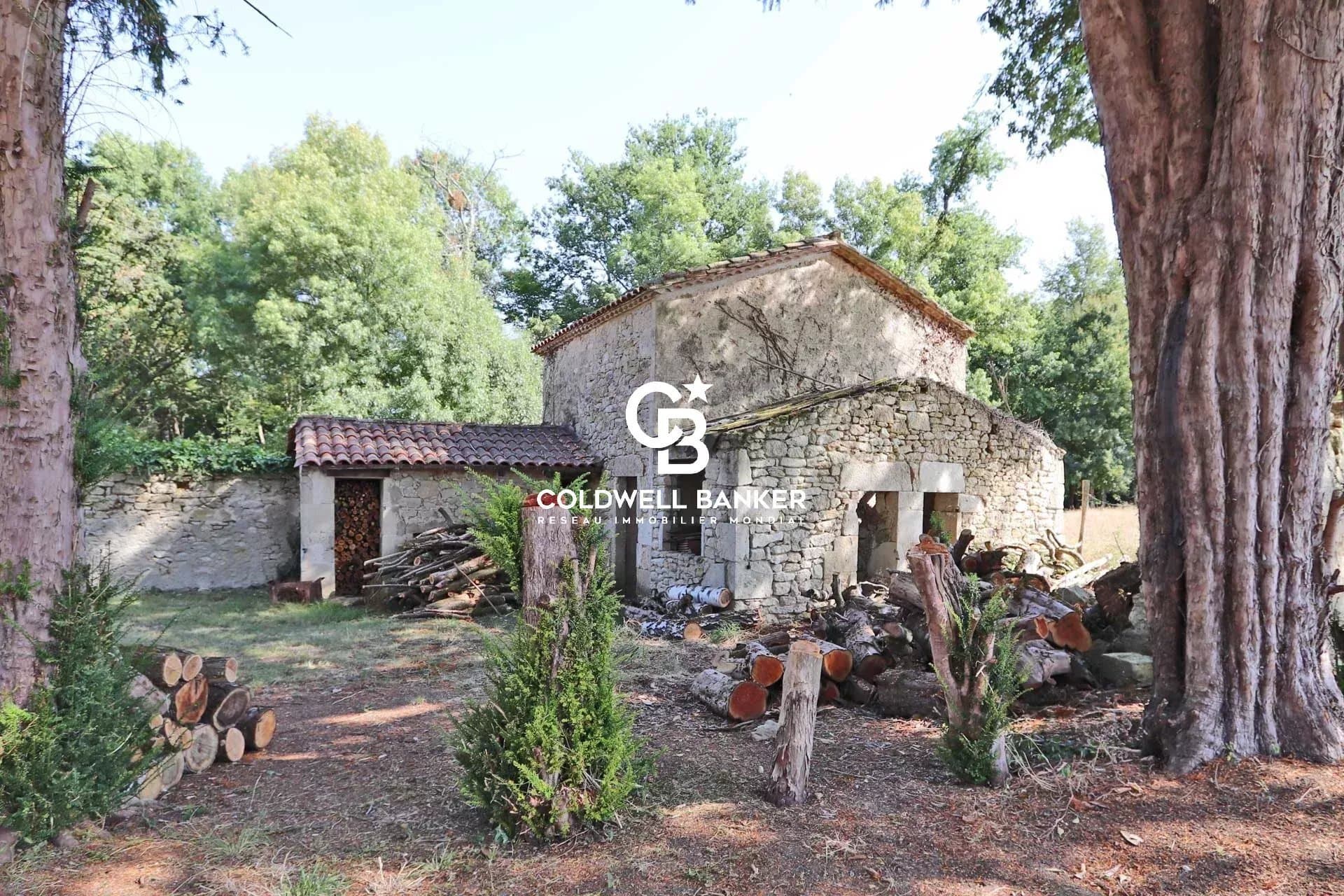 Renovated Château with 700 Sqm and 38 Hectares of Grounds 5