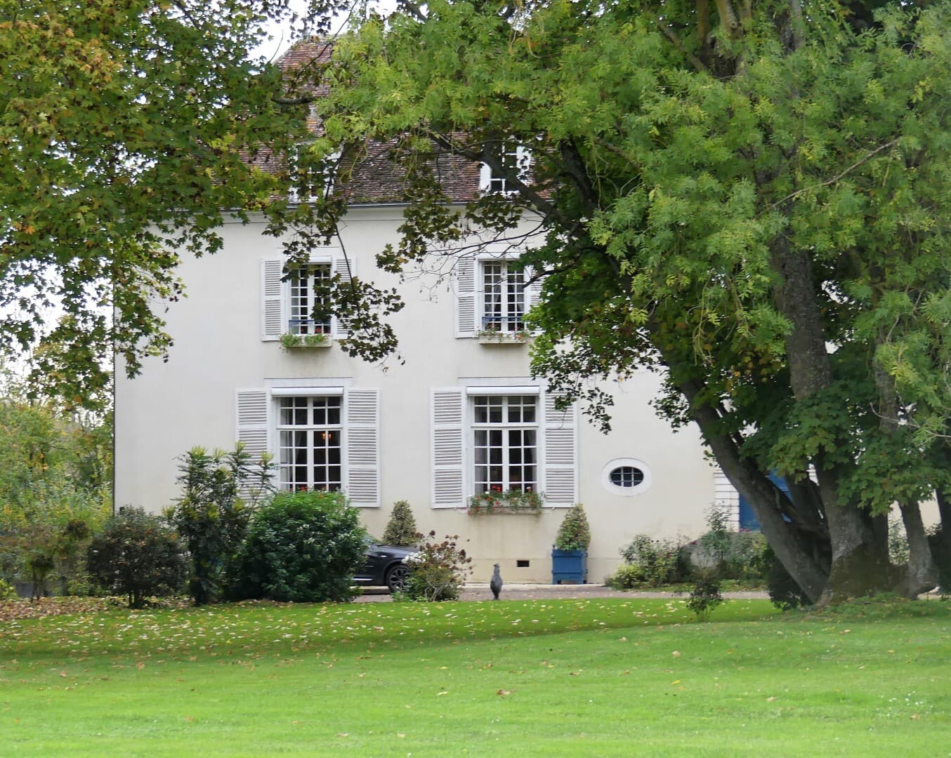 Renovated 17th Century Castle with Swimming Pool 4