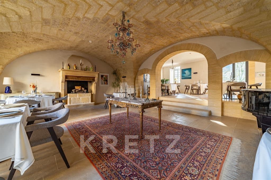 Historic Castle With 19 Bedrooms And Balconies 5