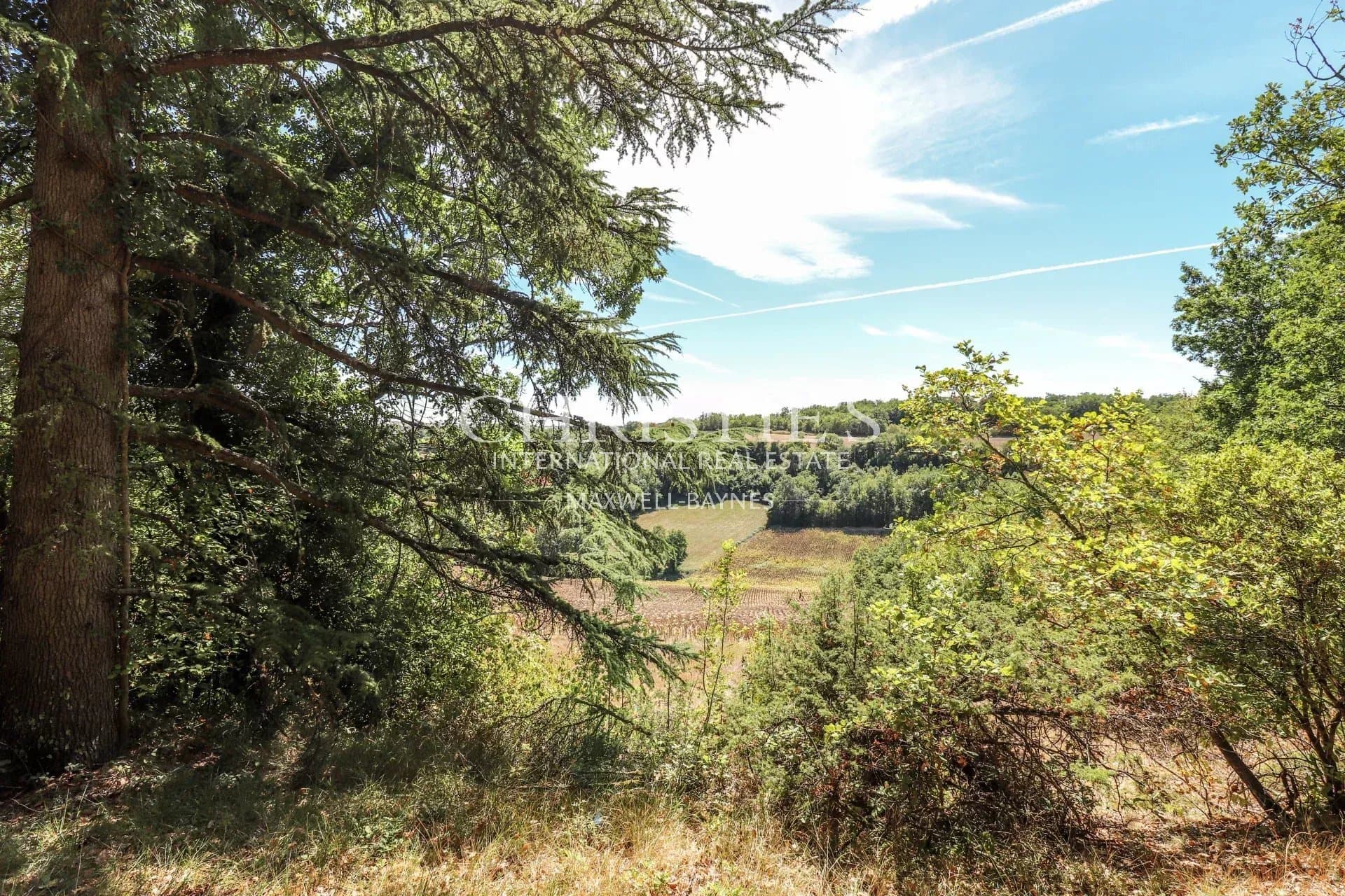 Château With Guest House And Swimming Pool In The Agenais Countryside 4