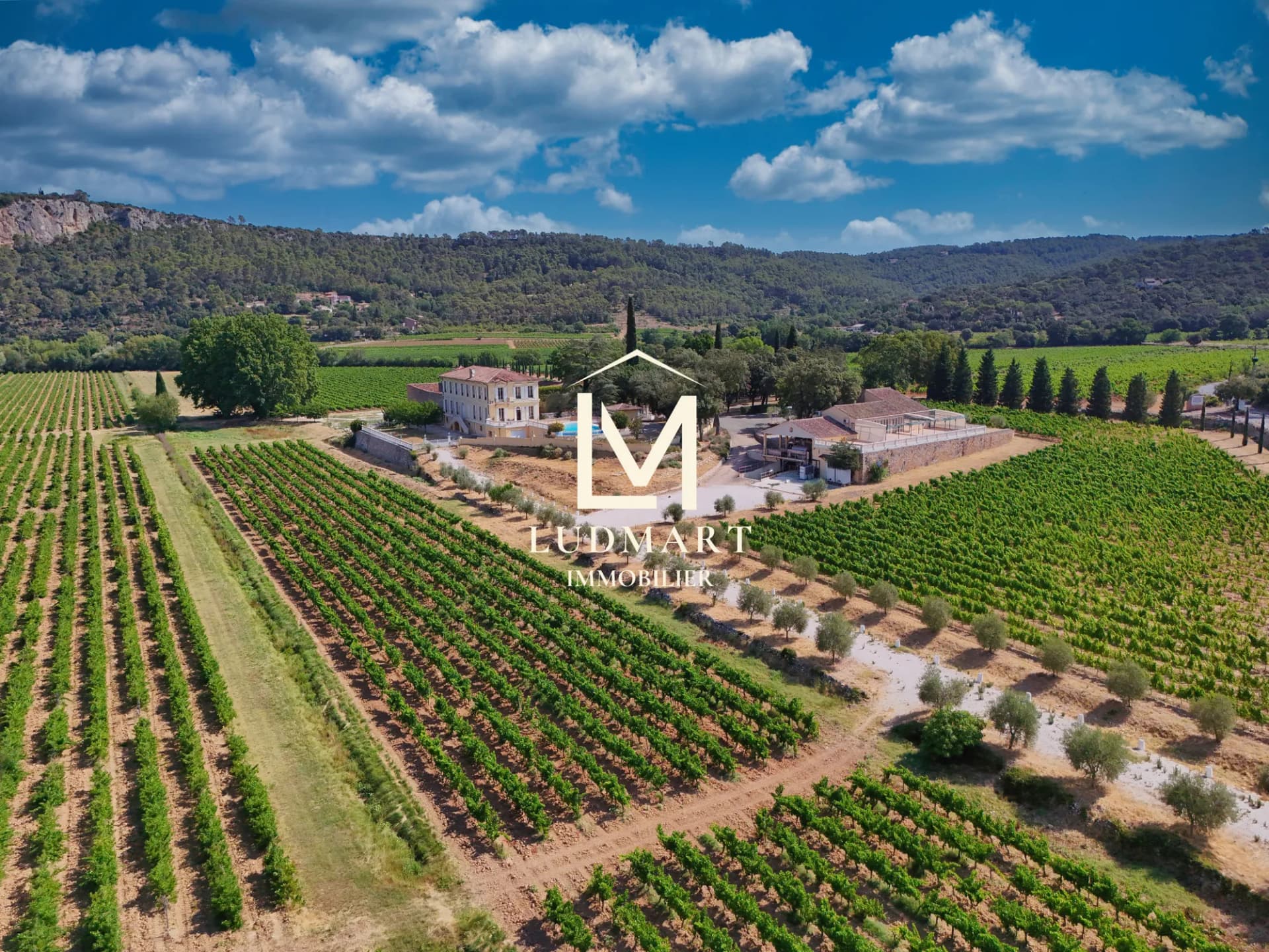 Exceptional Provençal Estate With Vineyard And Hospitality Potential 4