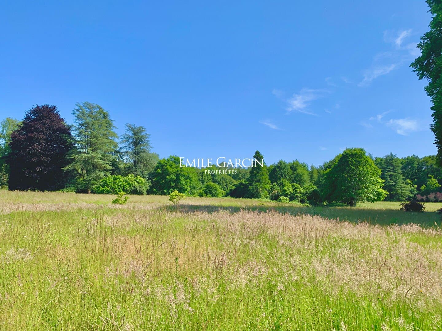 Stunning 19th Century Château With English Park And French Garden 3