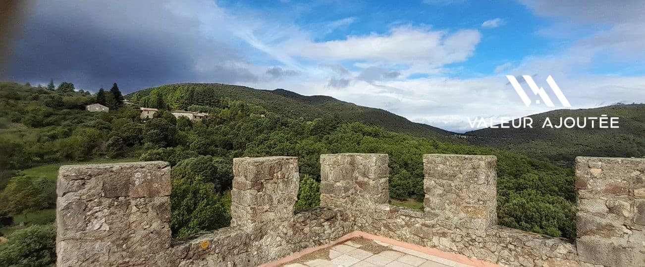 Historic Castle with 6 Bedrooms and Kitchen 3