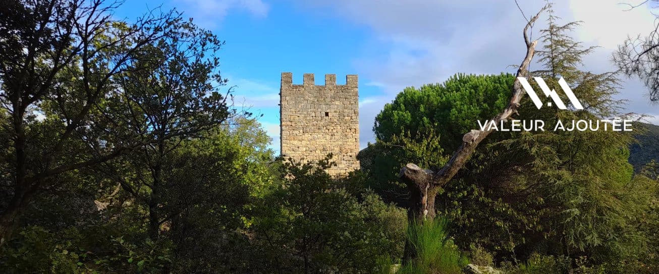 Historic Castle with 6 Bedrooms and Kitchen 5