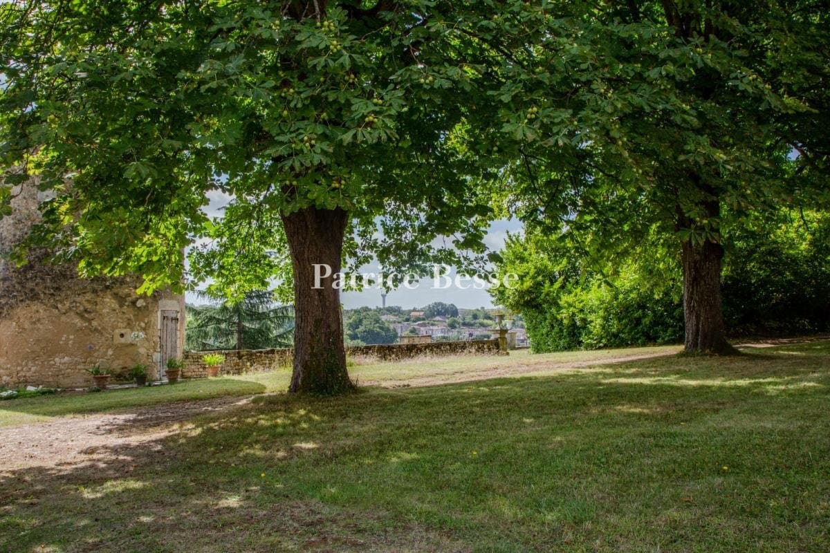 Château With Adjoining House And 3,000 Sqm Garden 3