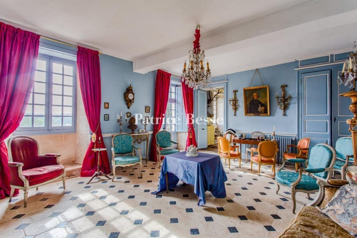 Château With Adjoining House And 3,000 Sqm Garden 5