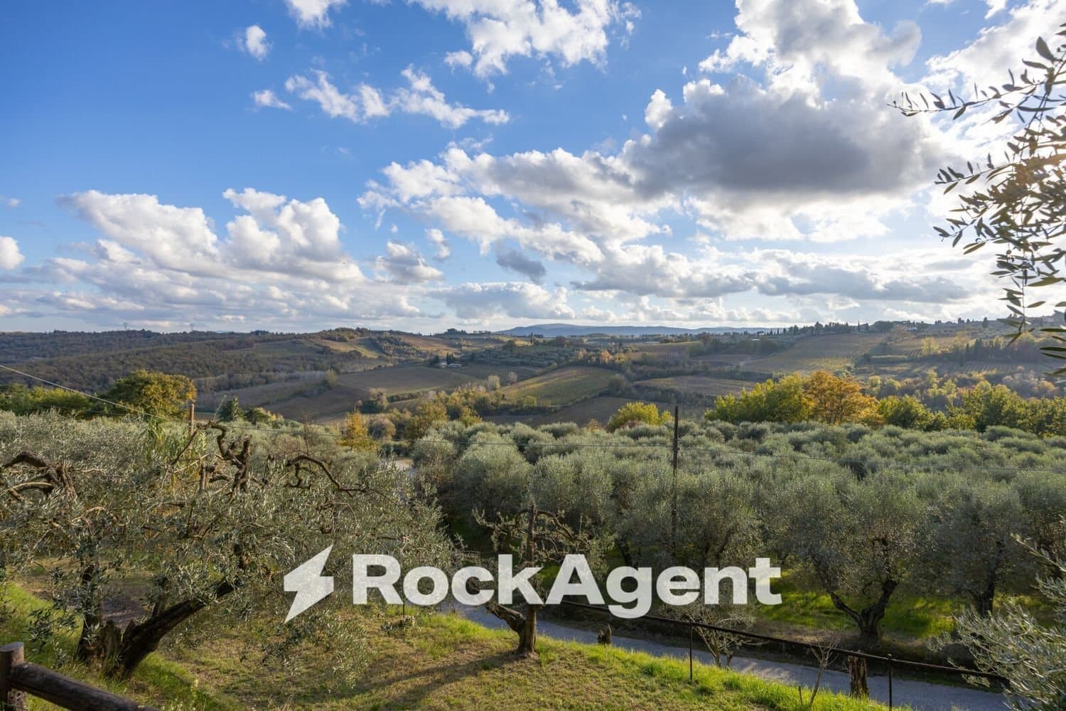 Restored Castle with Guest House and Olive Garden 2
