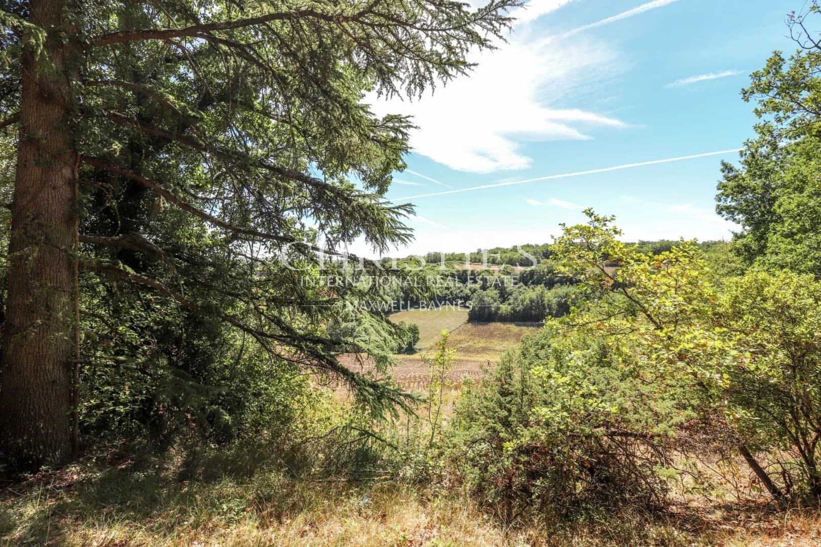 Enchanting Château with Guest House and Swimming Pool in Lot-et-Garonne 4
