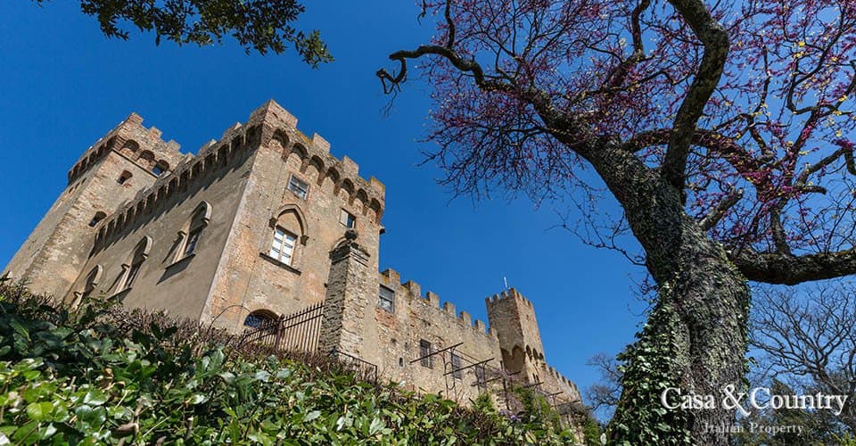 Pesa Castle With Extensive Vineyards And Olive Groves 4