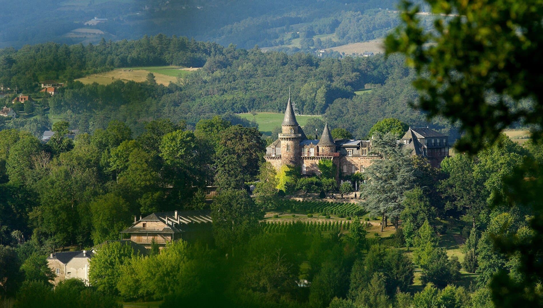 Historic Castle with 26 Rooms and Expansive Gardens 3