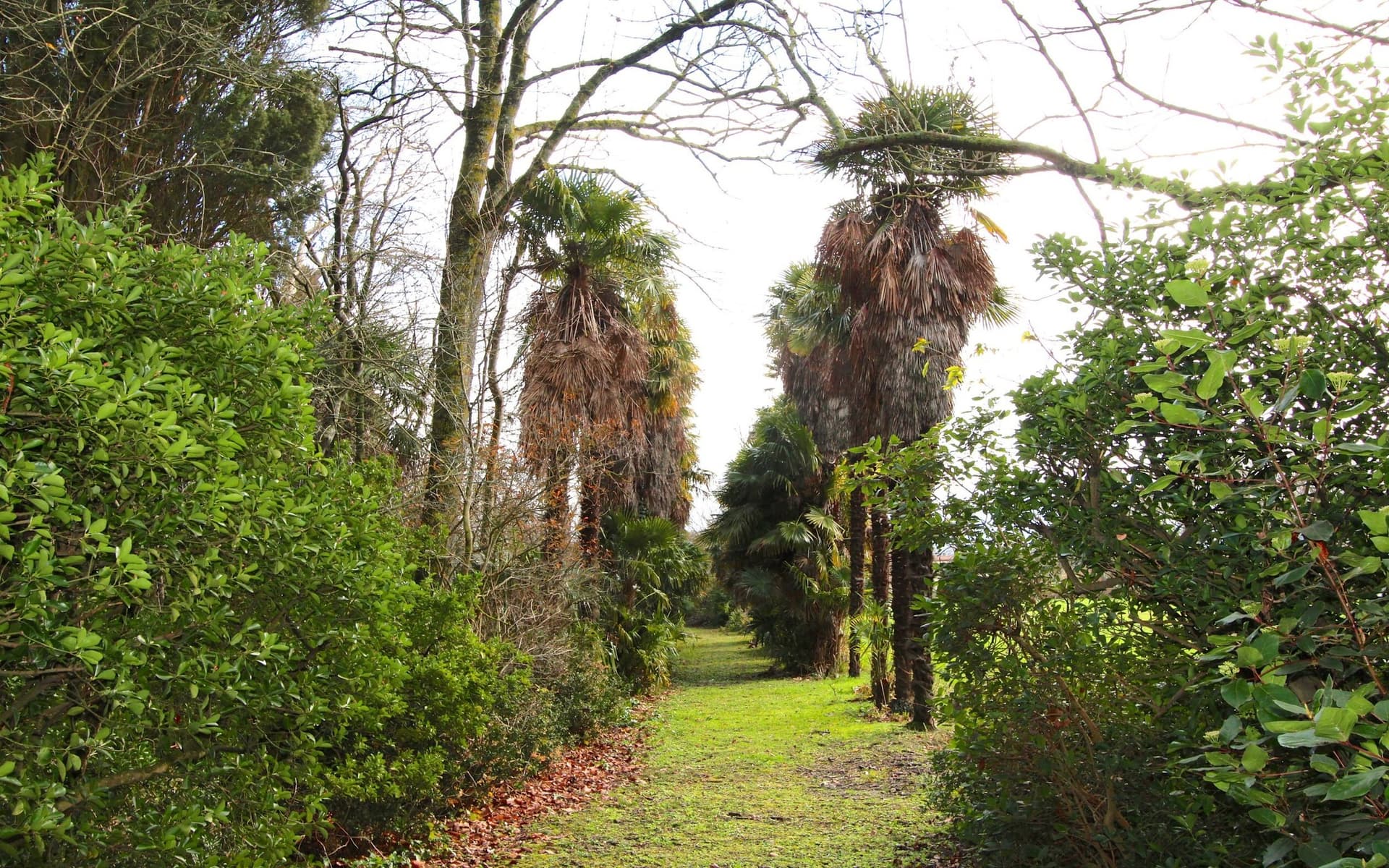 16th Century Château With 840 Sqm Living Space And 5.7 Hectares Of Park 3