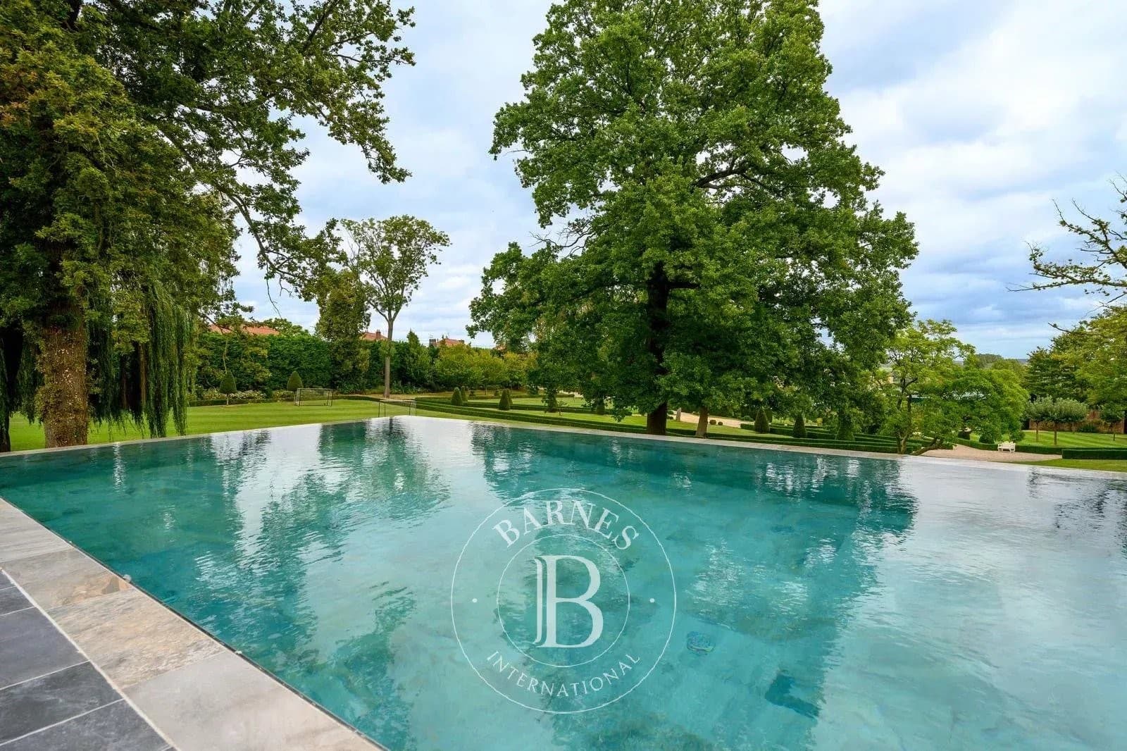 Elegant Castle With Swimming Pool 5