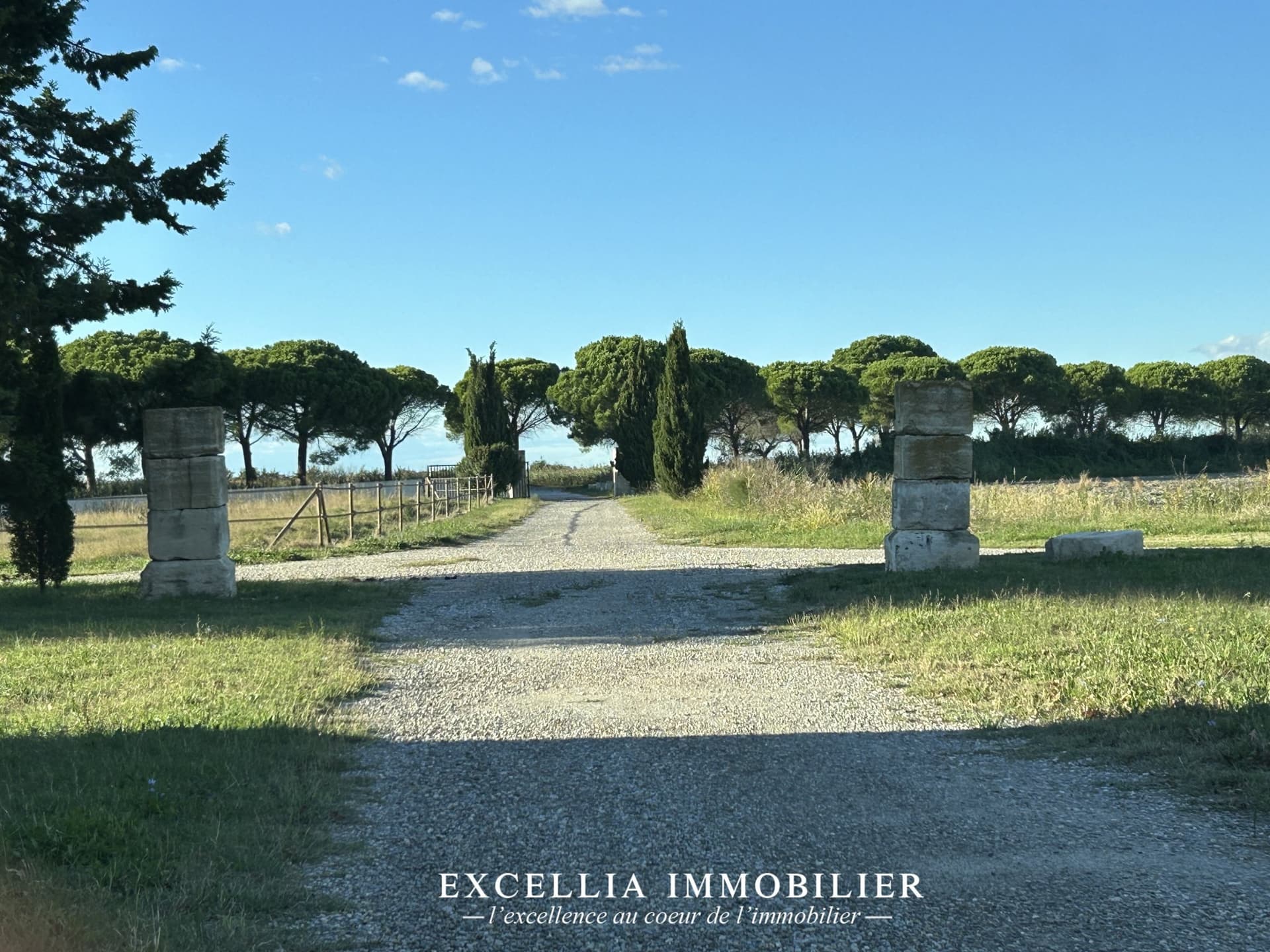 Exceptional Estate With Residential House And 5 Apartments In The Camargue 2