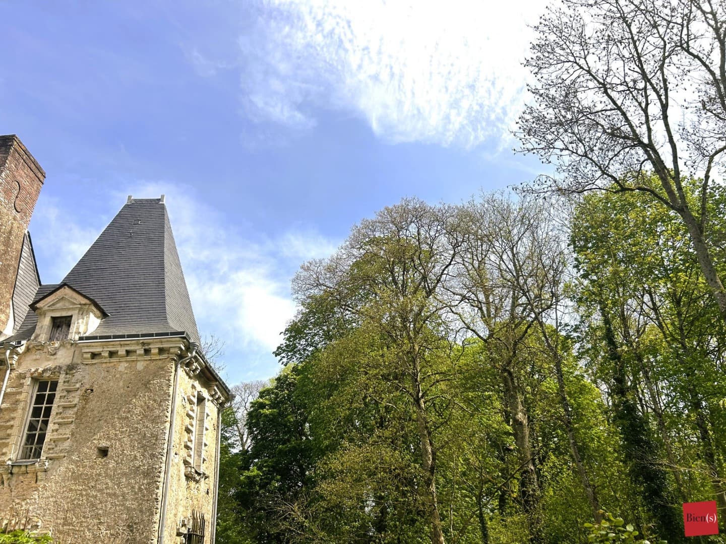 Historic Castle with 11 Bedrooms and 600 Sqm of Living Space 4