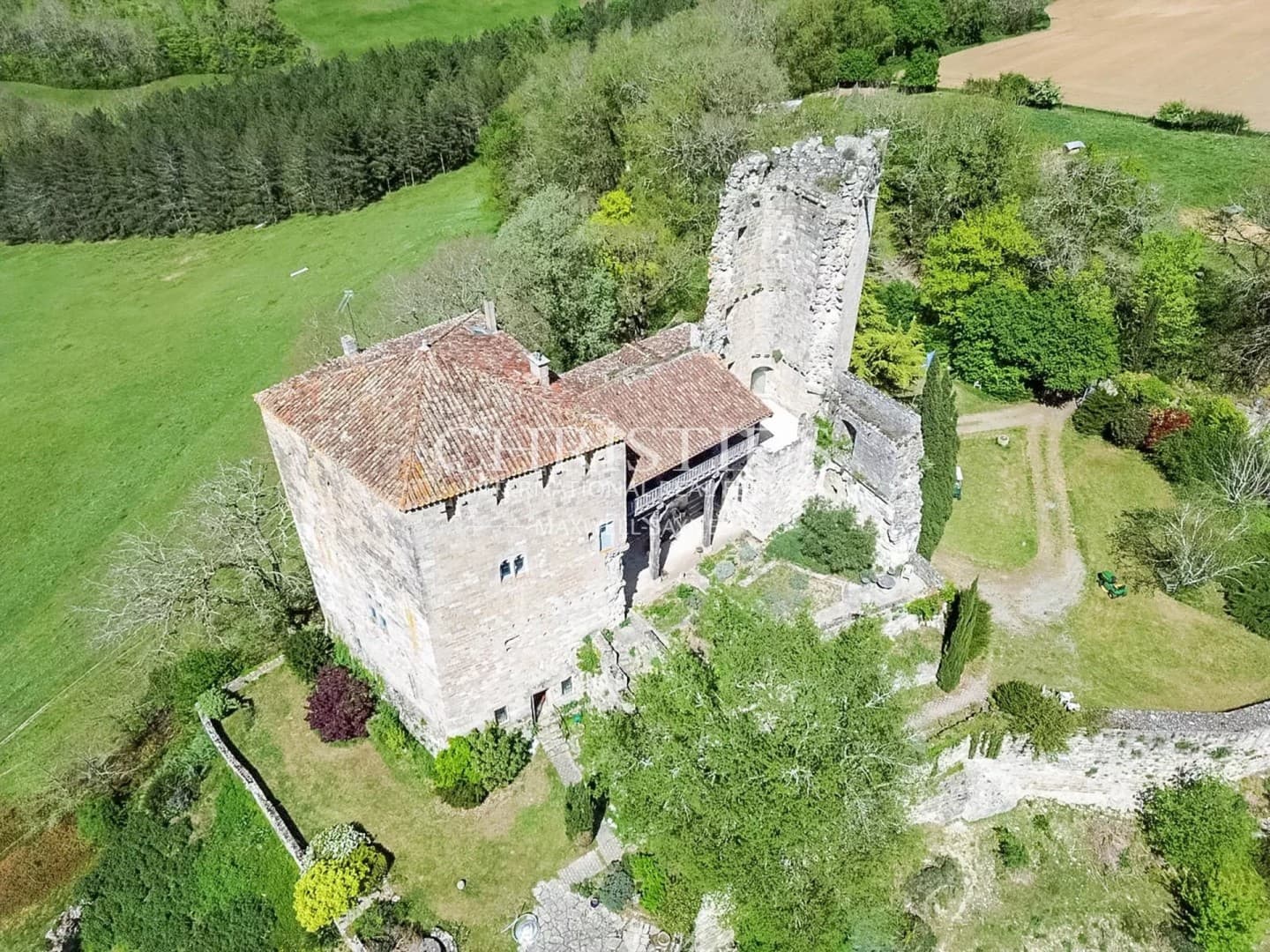 Historic Château with Expansive Grounds and Stunning Views 3