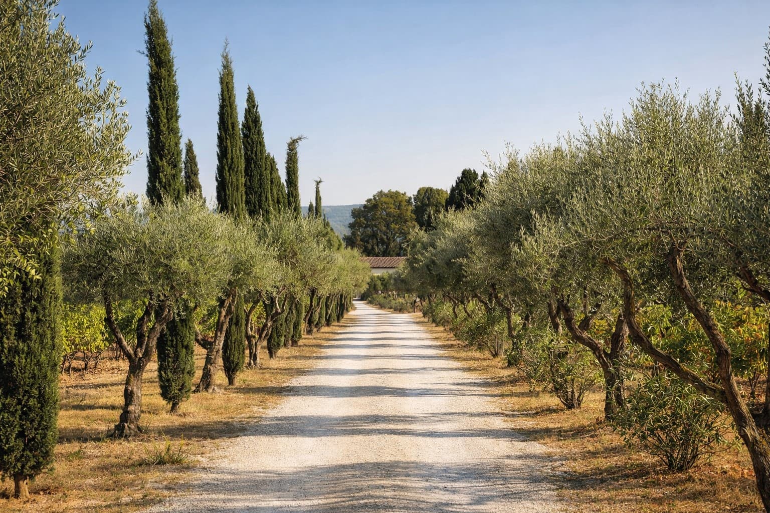 Elegant Provençal Château Set Within A 25 Hectare Estate 3