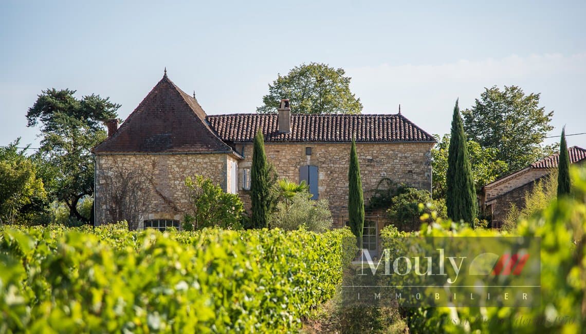Operational Vineyard With 5 Bedrooms And 220m² Living Space — in Lot, France