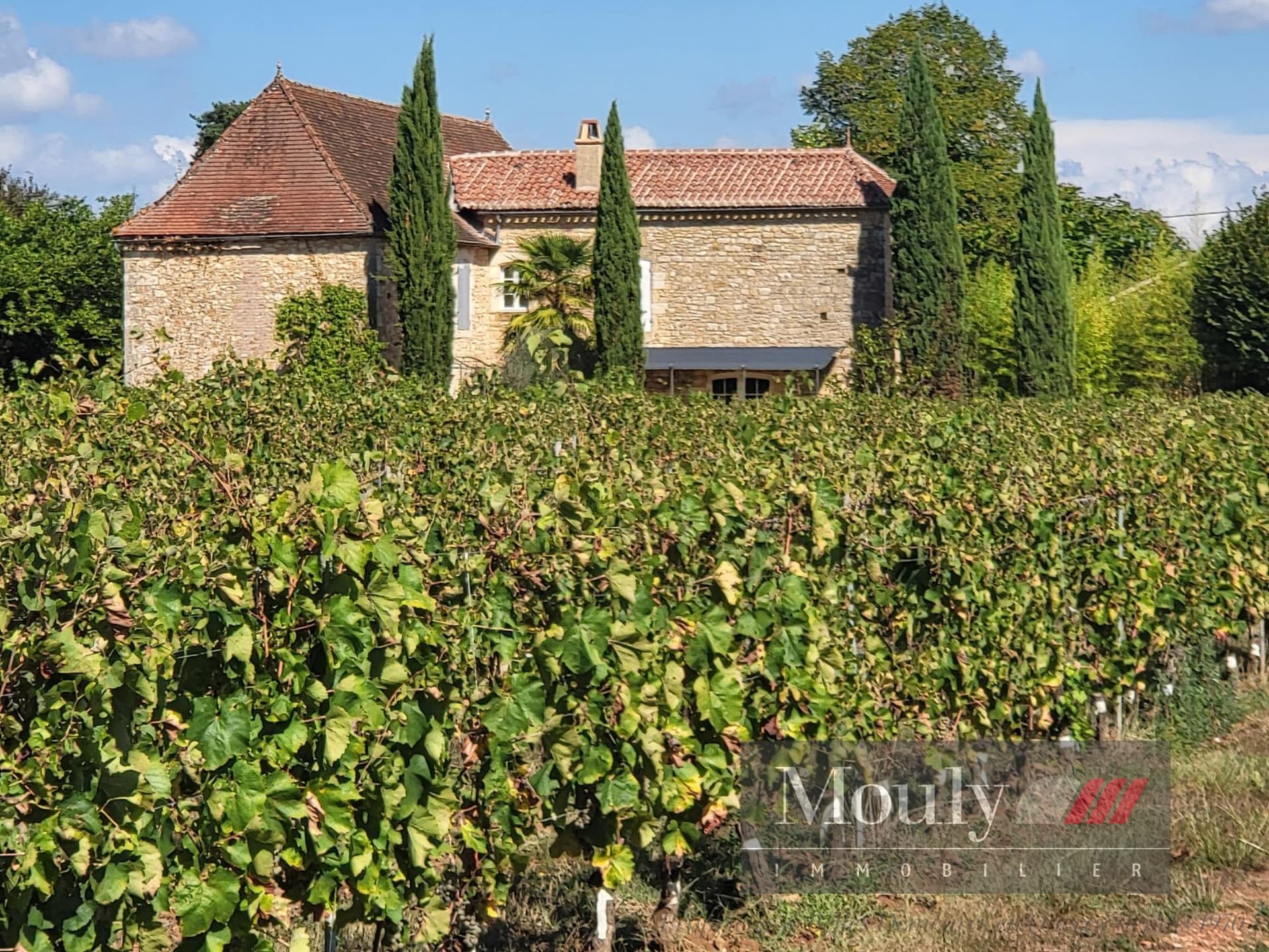 Operational Vineyard With 5 Bedrooms And 220m² Living Space 3
