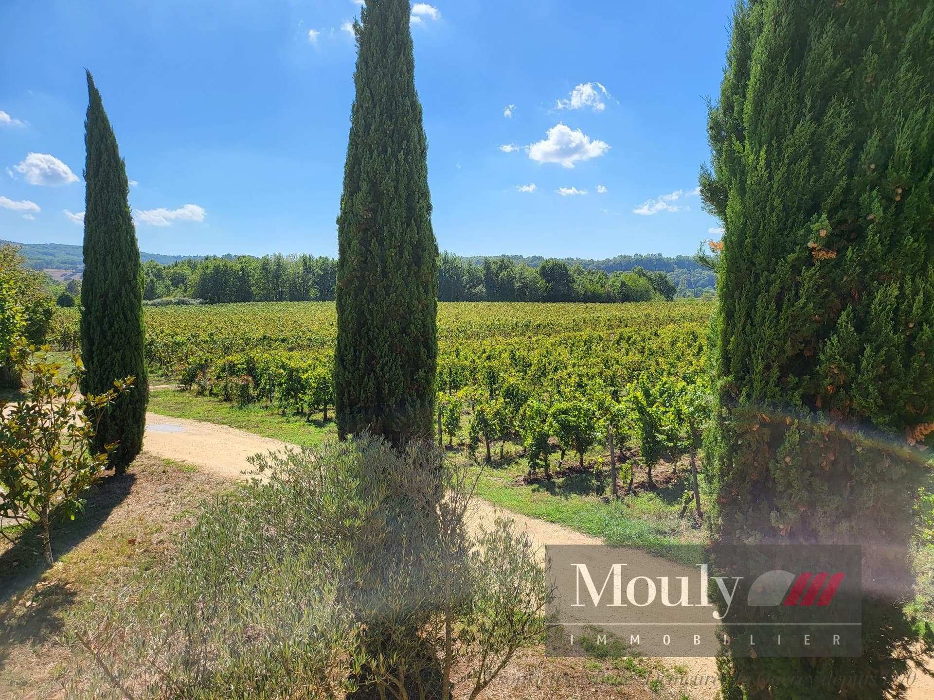 Operational Vineyard With 5 Bedrooms And 220m² Living Space 4