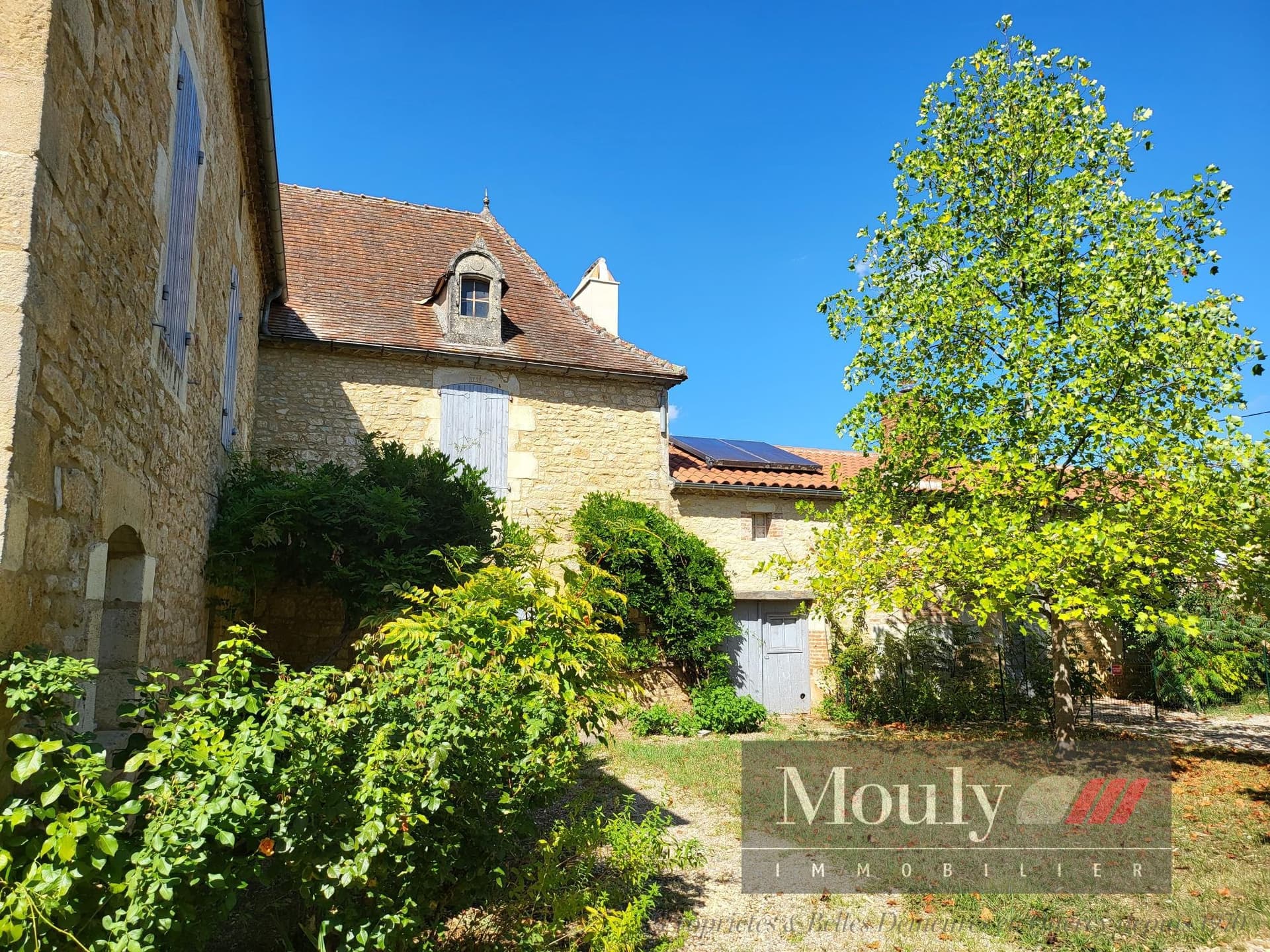 Operational Vineyard With 5 Bedrooms And 220m² Living Space 5